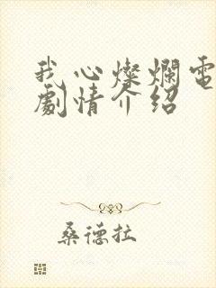 我心灿烂电视剧剧情介绍