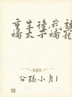 重生后,我被病娇太子娇宠了全文版