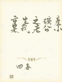 重生之矿产大亨是我老公小说