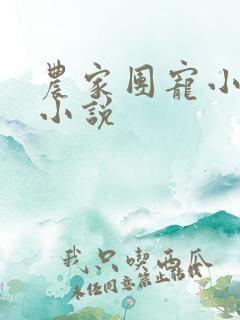 农家团宠小福妻小说