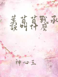 叶苜苜战承胤小说叫什么