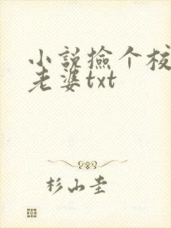 小说捡个校花做老婆txt
