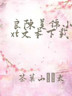 良陈美锦小说txt文本下载