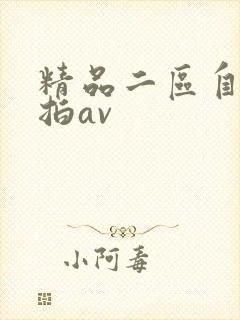 精品二区自拍偷拍av