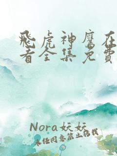 飞虎神鹰在线观看全集免费播放