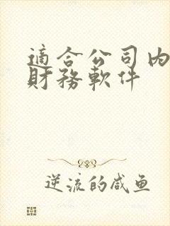 适合公司内账的财务软件