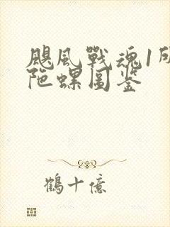 飓风战魂1所有陀螺图鉴