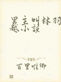 男主叫林羽的穿越小说
