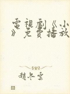 电视剧《小丈夫》免费播放