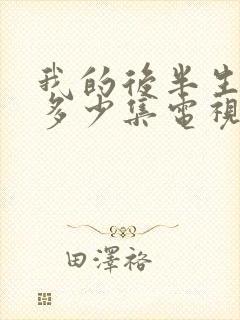 我的后半生一共多少集电视剧