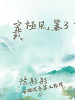 究极风暴3 下载