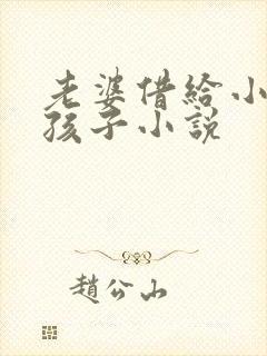 老婆借给小张生孩子小说