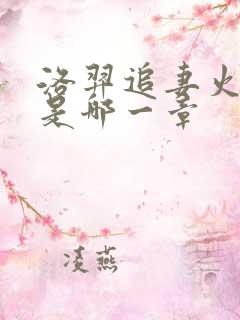 洛羿追妻火葬场是哪一章