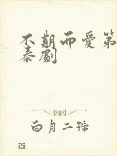 不期而爱第二季泰剧