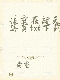 流窜在诸天的收集员txt下载