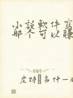 小说软件写小说哪个可以赚钱