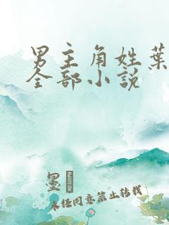 男主角姓叶辰的全部小说