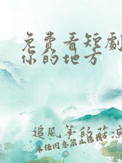 免费看短剧去有你的地方