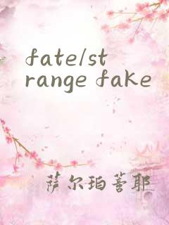 fate/strange fake