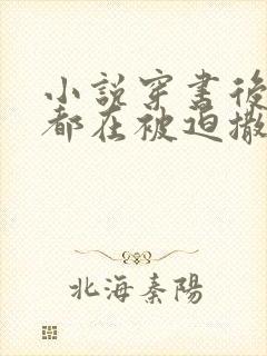 小说穿书后每天都在被迫撒娇免费阅读