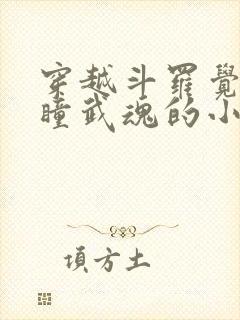 穿越斗罗觉醒重瞳武魂的小说