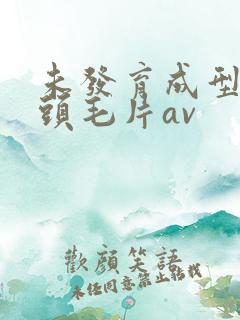 未发育成型小奶头毛片av