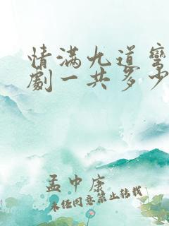 情满九道弯电视剧一共多少集