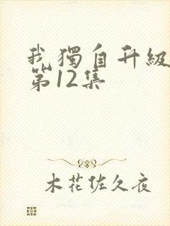 我独自升级动漫第12集