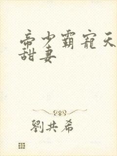 帝少霸宠天价小甜妻