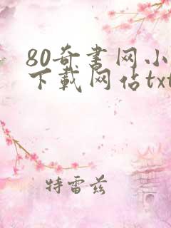 80奇书网小说下载网站txt