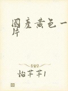 国产黄色一级大片