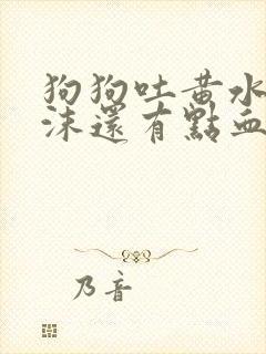 狗狗吐黄水带泡沫还有点血