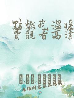 点燃我温暖你免费观看高清完整版