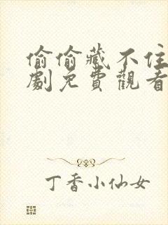 偷偷藏不住电视剧免费观看在线版