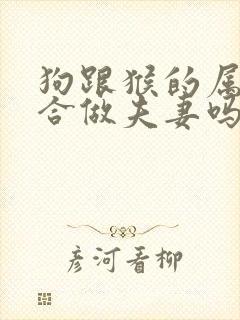 狗跟猴的属相适合做夫妻吗