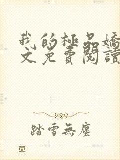 我的极品娇妻全文免费阅读