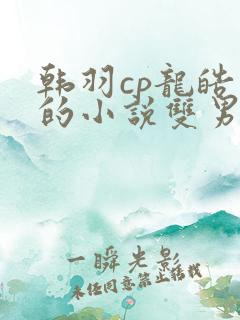 韩羽cp龙皓晨的小说双男主