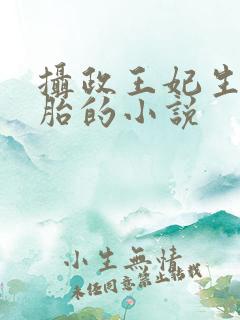 摄政王妃生三胞胎的小说