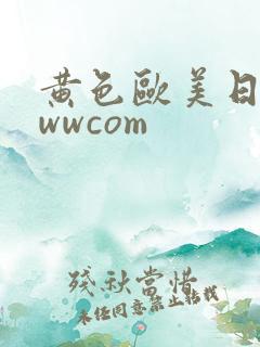 黄色欧美日韩wwwcom