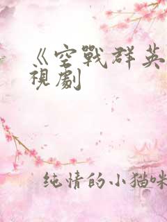 《空战群英》电视剧