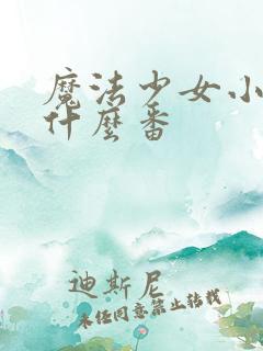 魔法少女小圆是什么番