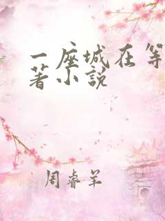 一座城在等你原著小说