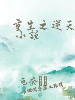 重生之逆天邪妃 小说