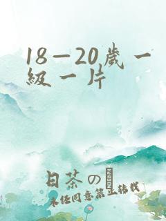 18—20岁一级一片