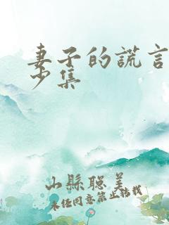 妻子的谎言共多少集