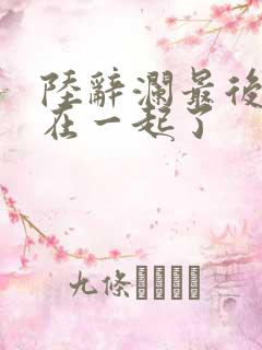 陆辞澜最后和谁在一起了