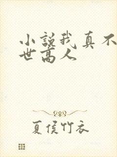 小说我真不是隐世高人