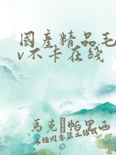 国产精品毛片av不卡在线