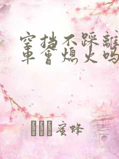 空挡不踩离合刹车会熄火吗