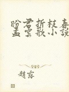 盼君折枝春满归孟云歌小说在线阅读